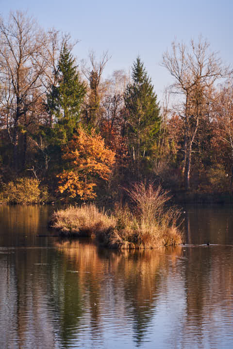 Gemeinde Kirchdorf Landkreis Rottal-Inn Waldsee Lago Herbst (Dirschl Johann) Deutschland PAN